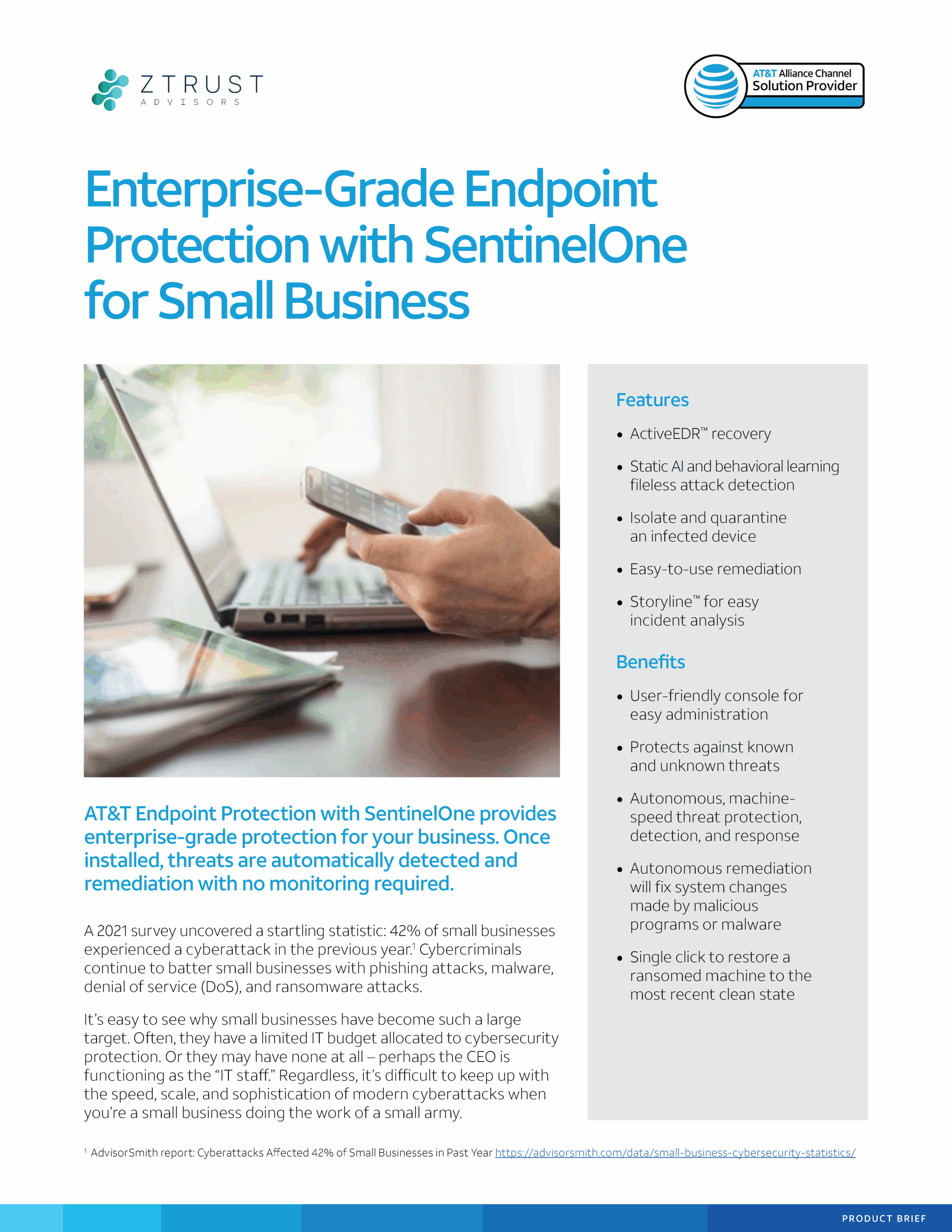 Enterprise cybersecurity protection for small businesses infographic.